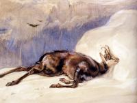 Lewis, John Frederick - The Chamois, Sketched In The Tyrol